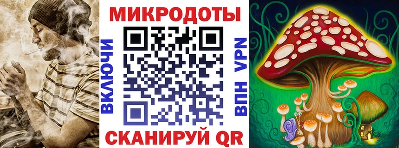 Псилоцибиновые грибы Cubensis  Геленджик 