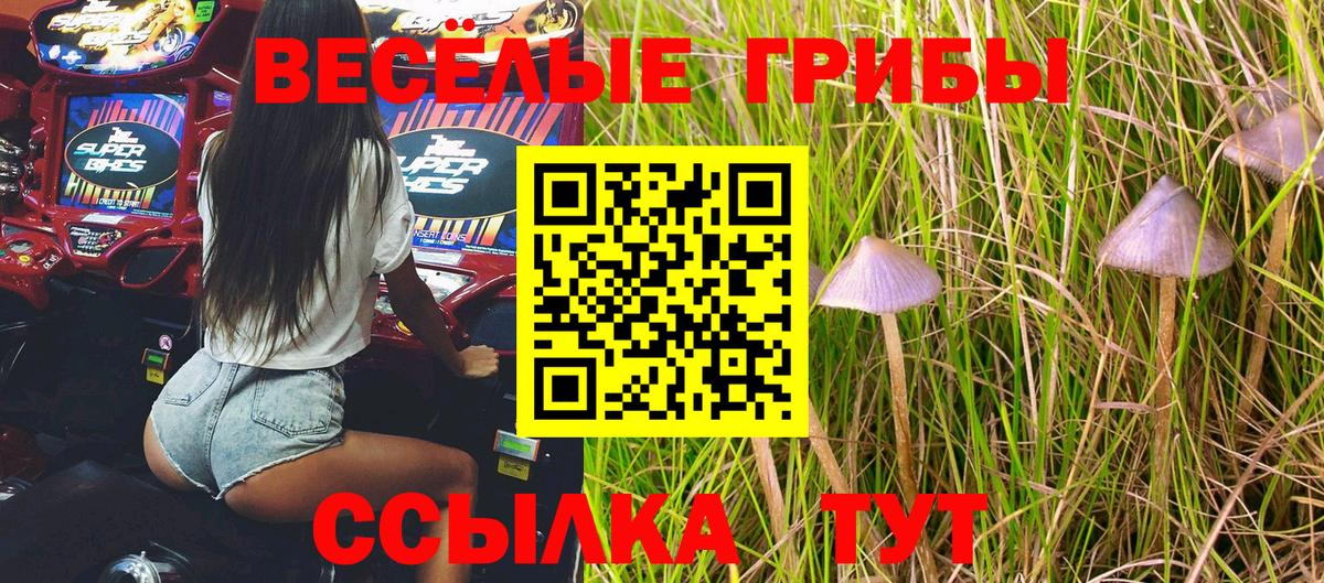 Псилоцибиновые грибы Psilocybe  наркошоп  Геленджик  Вход с VPN 